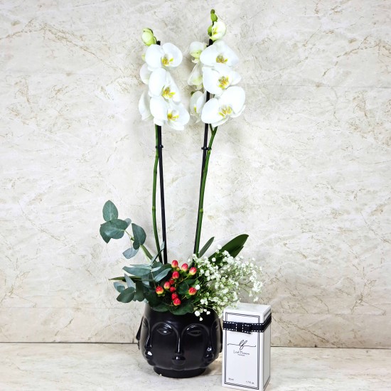 Orchid Plant In Face Vase 4