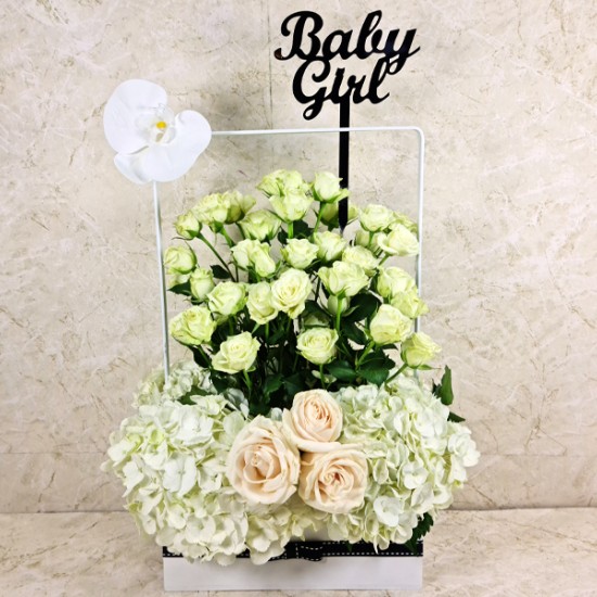 Baby Girl Gift 13