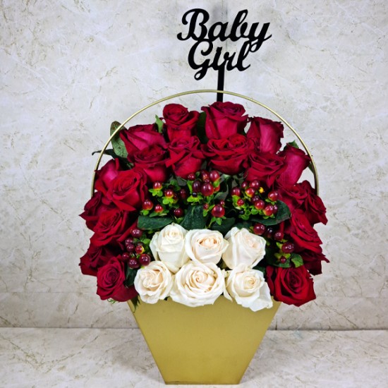 Baby Girl Gift 14