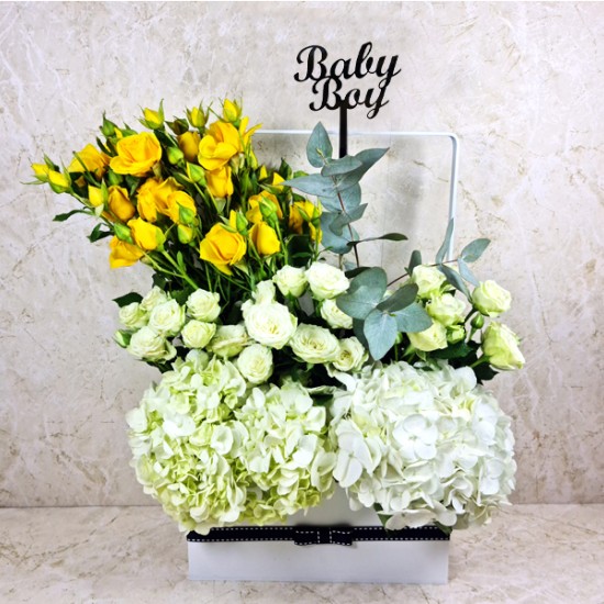 Baby Boy Gift 12