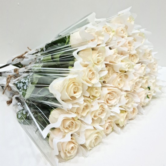 50 Pieces Single Roses White