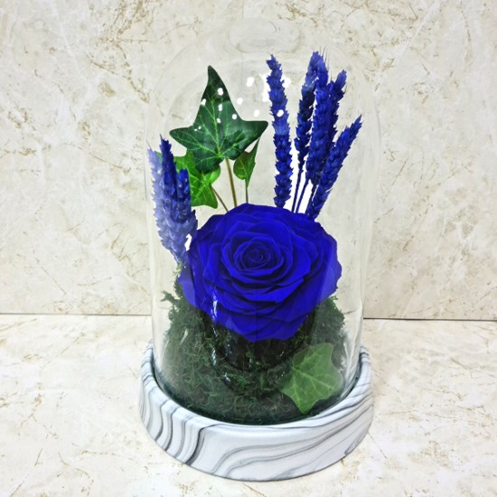 preserved rose blue