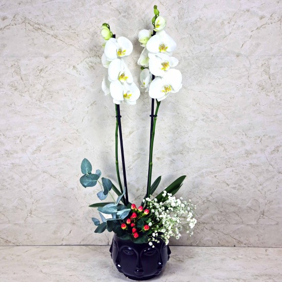 Orchid Plant In Face Vase 2